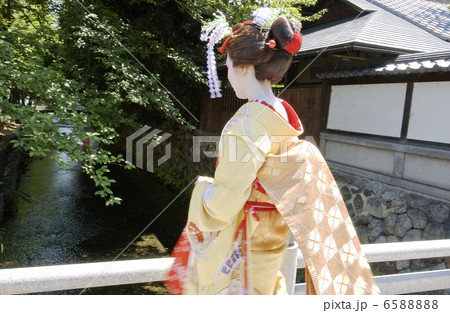 京・舞妓 京・舞妓 6588888