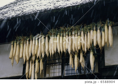 食の産業 農業編 食の産業 農業編 6588904
