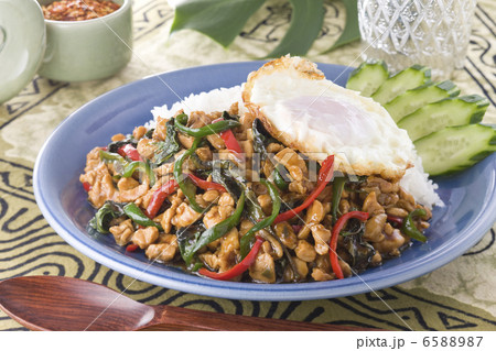 エスニック料理と食材 エスニック料理と食材 6588987