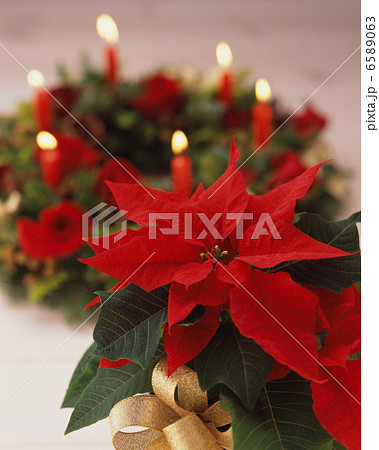 クリスマス料理 6589063