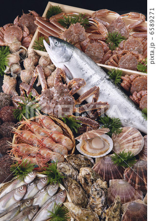 冬の食材 6589271