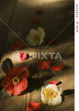 季節のごあいさつ 季節のごあいさつ 6589346