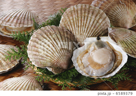 冬の料理 6589379