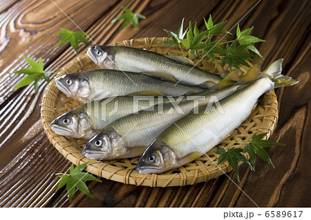 鮮魚百選2 鮮魚百選2 6589617