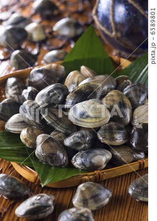 鮮魚百選２ 6589801