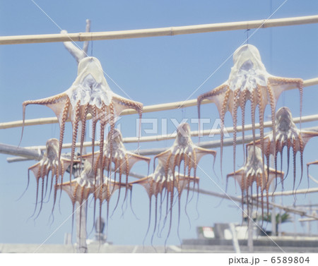 食の産業　漁業編 6589804