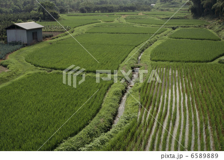食の産業　農業編 6589889