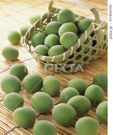 夏の料理 6590040