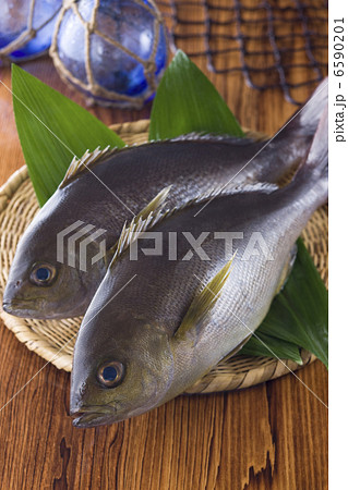 鮮魚百選２ 6590201