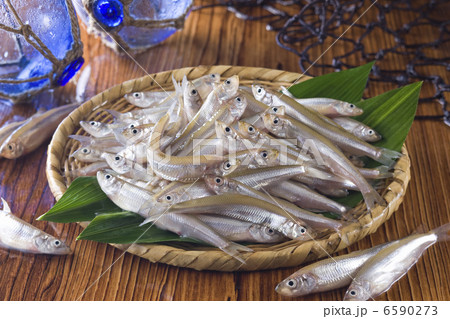 鮮魚百選2 鮮魚百選2 6590273