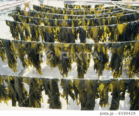 食の産業 漁業編 食の産業 漁業編 6590429