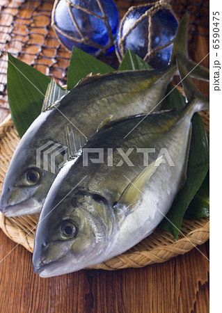 鮮魚百選2 鮮魚百選2 6590475