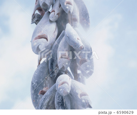 食の産業　漁業編 6590629