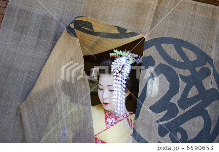 京・舞妓 6590653