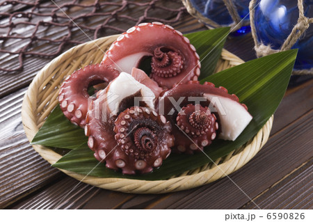 魚料理と切身 6590826