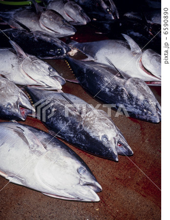 食の産業　漁業編 6590890