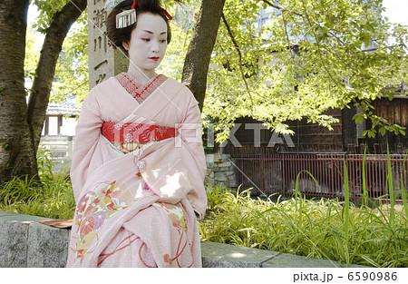 京・舞妓 6590986