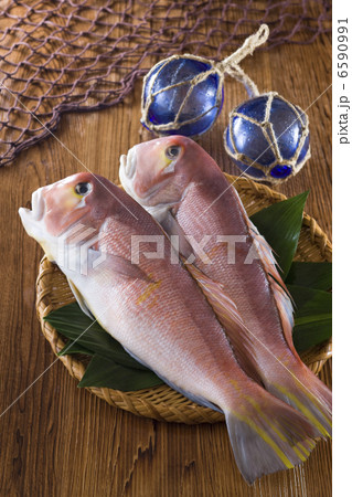 鮮魚百選２ 6590991