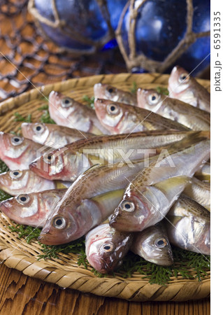 鮮魚百選２ 6591335