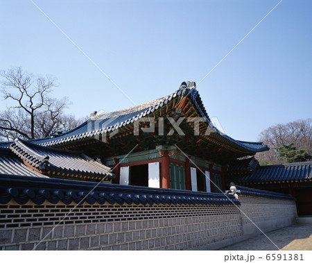 韓国熱風 6591381