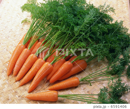 春の料理2 春の料理2 6591406