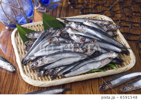 鮮魚百選2 鮮魚百選2 6591548