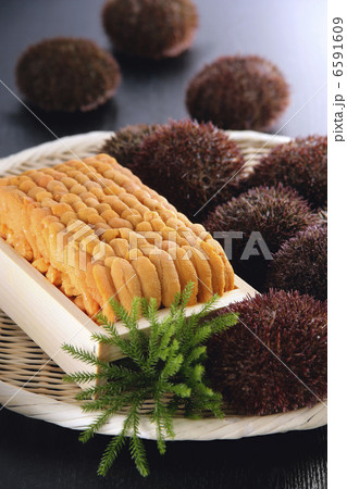 冬の食材 6591609