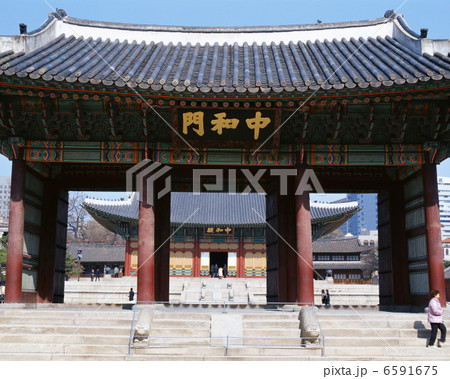 韓国熱風 6591675