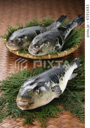 冬の料理 冬の料理 6591683