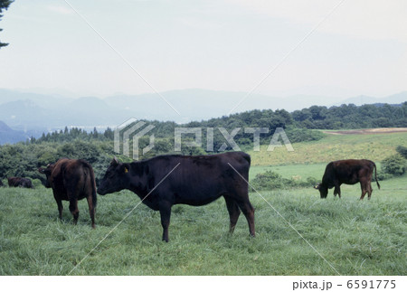 食の産業　農業編 6591775