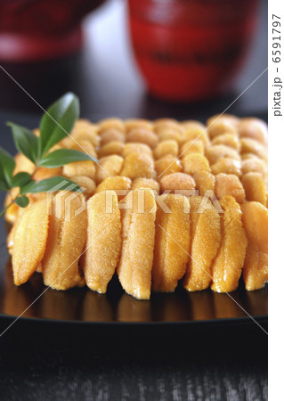 冬の食材 6591797