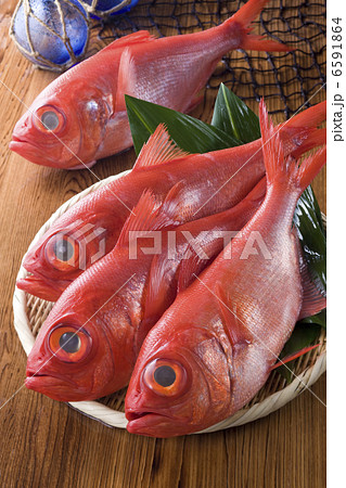 鮮魚百選２ 6591864