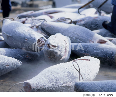 食の産業　漁業編 6591899