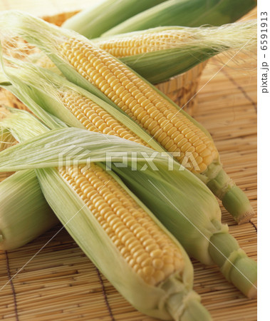 夏の料理 夏の料理 6591913