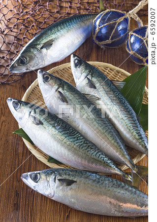 鮮魚百選2 鮮魚百選2 6592007