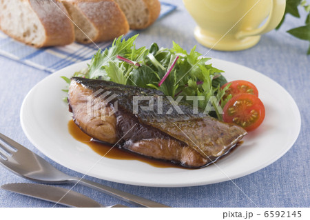 魚料理と切身 6592145