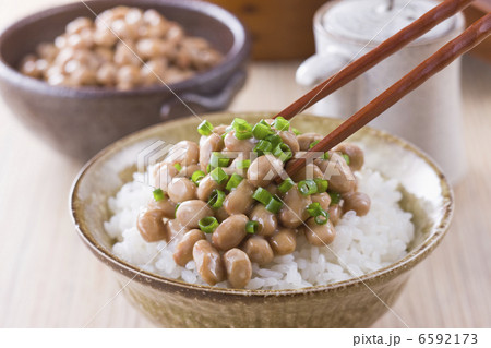 お米とご飯２ 6592173