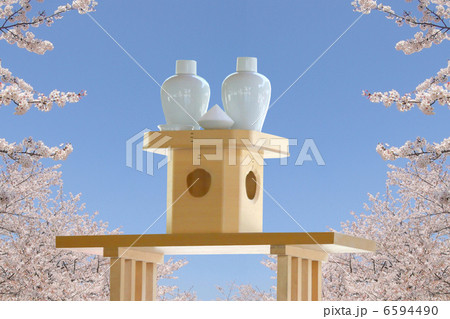 お神酒と桜 お神酒と桜 6594490