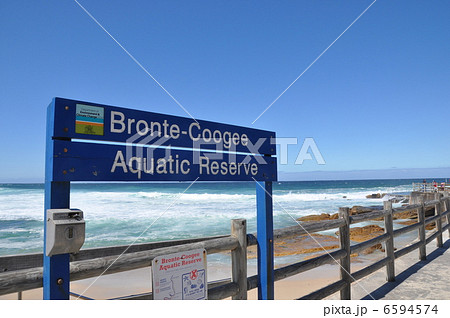 ブロンテ　クージービーチ 6594574