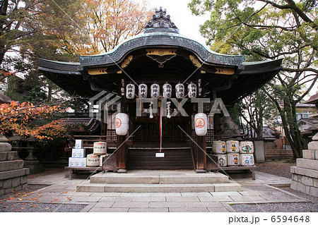 安井金比羅宮の本殿 6594648