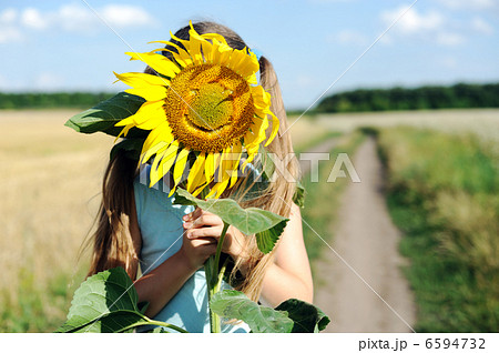Sunflower Sunflower 6594732