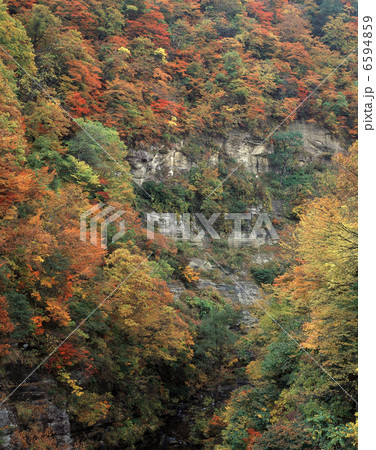 紅葉の三途川渓谷 6594859