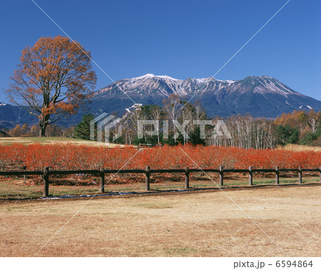 御嶽山 6594864