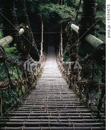 祖谷のかずら橋 祖谷のかずら橋 6594878