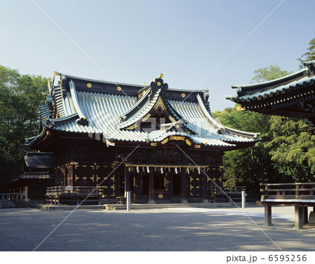 三島大社 6595256