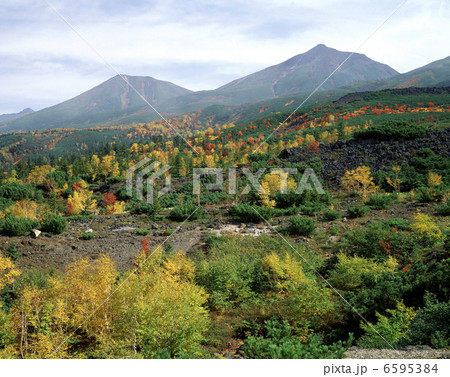 美瑛富士と美瑛岳 6595384