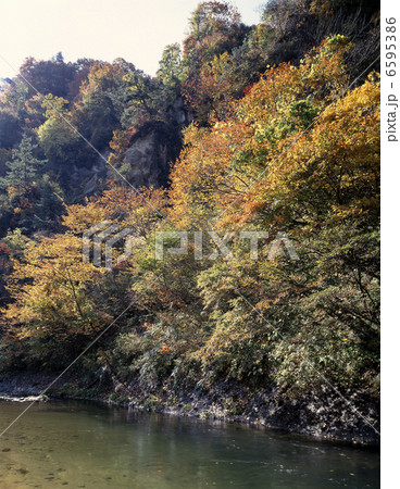 紅葉の鳴子峡 紅葉の鳴子峡 6595386