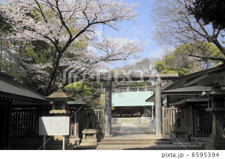 乃木神社 6595394