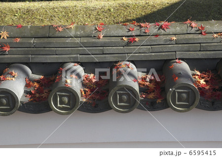 かわらと紅葉 かわらと紅葉 6595415