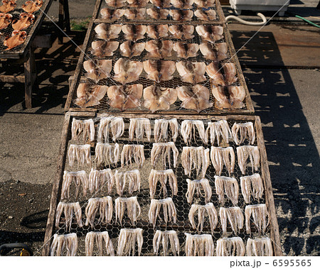 イカの浜干し 6595565